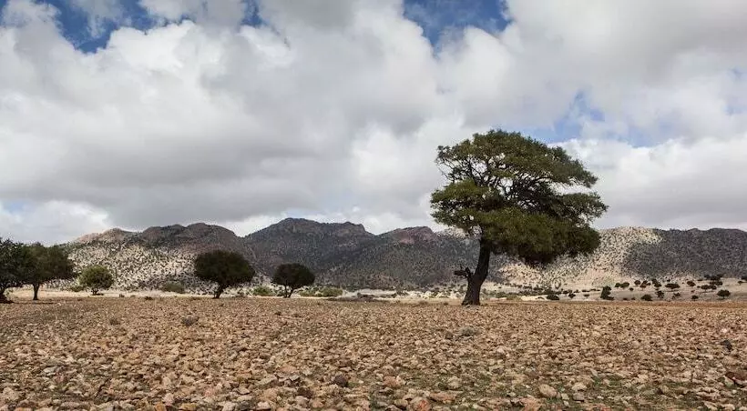 Majatalo Tifawin Home And Garden