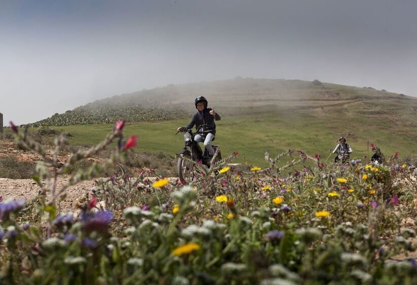 Пансион Tifawin Home And Garden