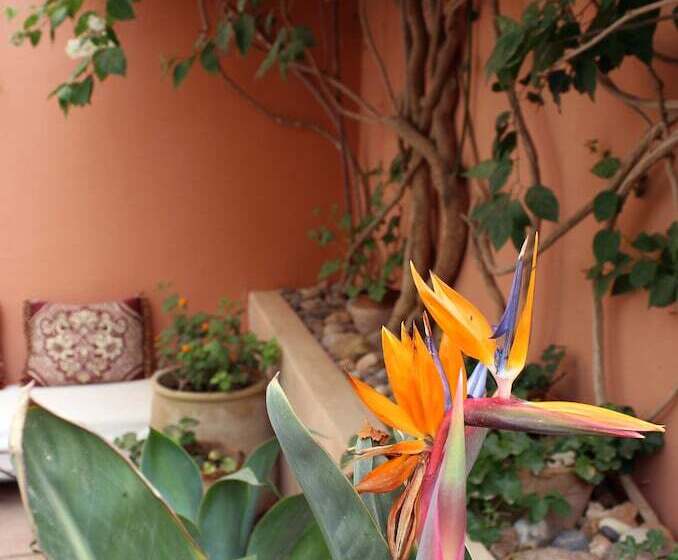 Пансион Tifawin Home And Garden