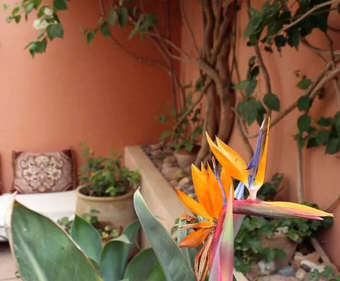 Majatalo Tifawin Home And Garden