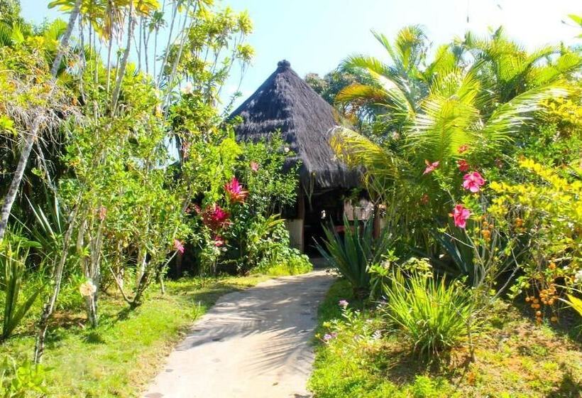 Pension Pousada Colibri