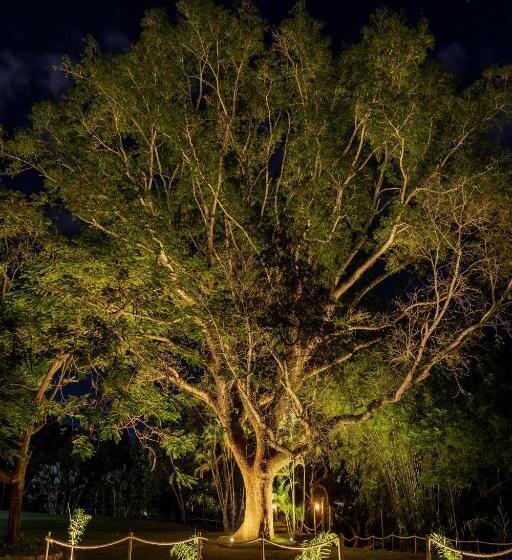 Пансион Pousada Rainha Da Mata