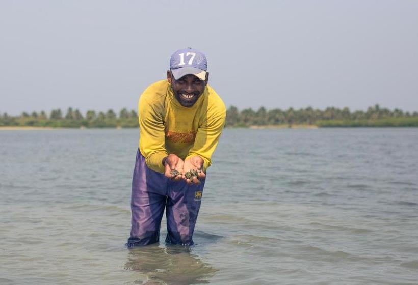 Пансион Ruuk Village