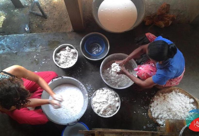 Пансион Ruuk Village