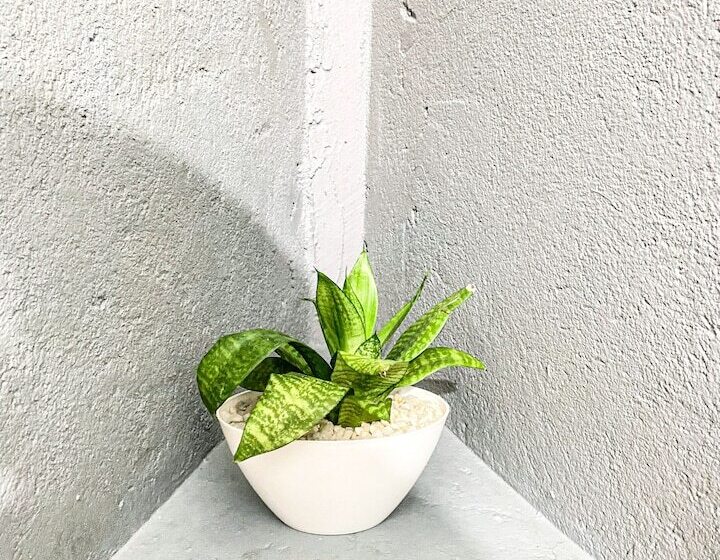 ペンション Seasons Four