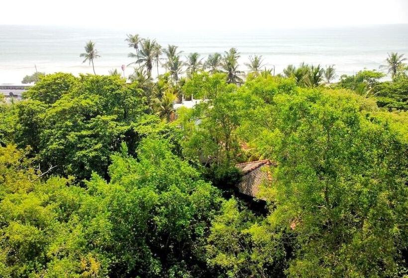 ペンション Seasons Four