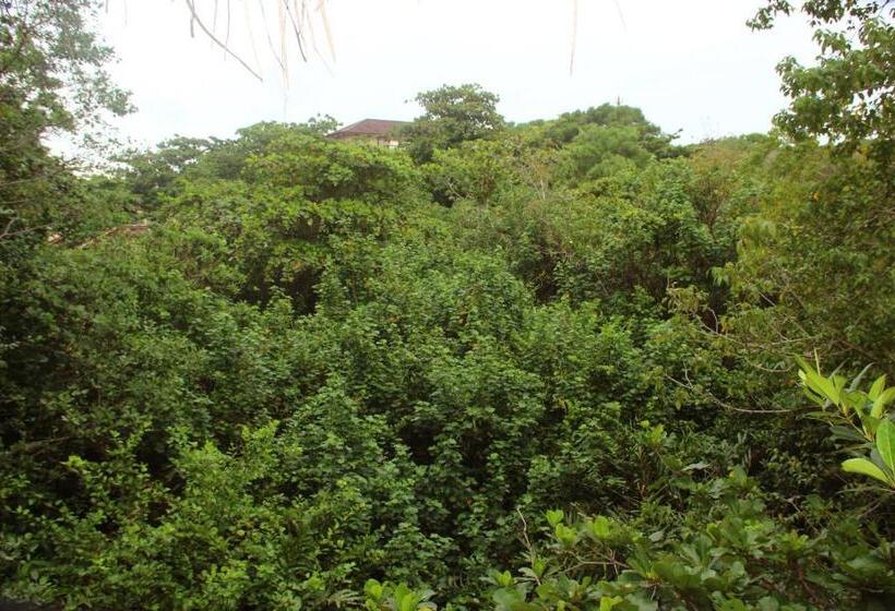 ペンション Seasons Four