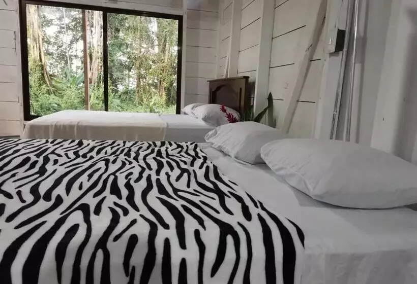 Retkeilymaja Hostal Cecilia