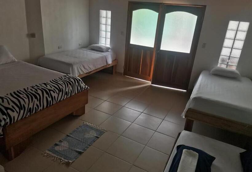 هاستل Hostal Cecilia