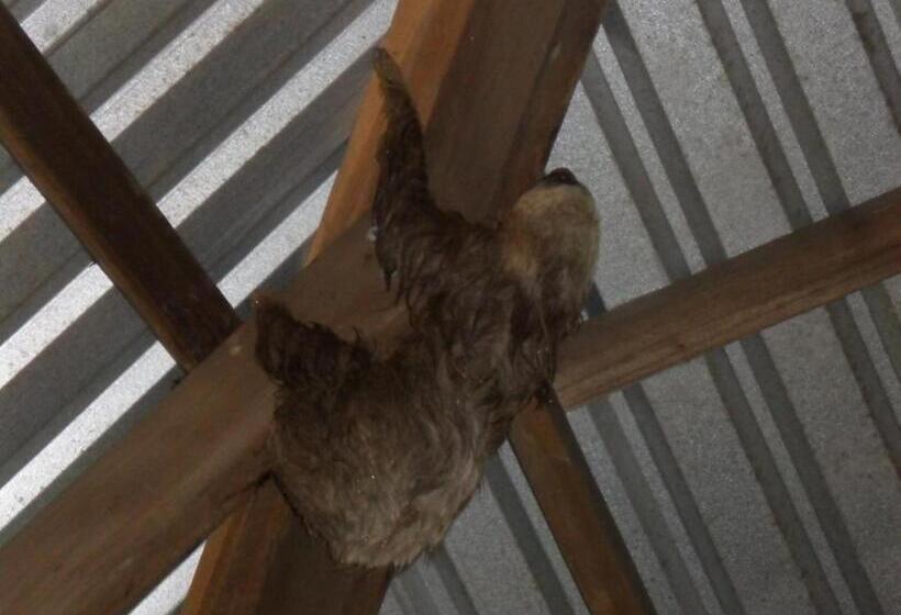 هاستل Hostal Cecilia