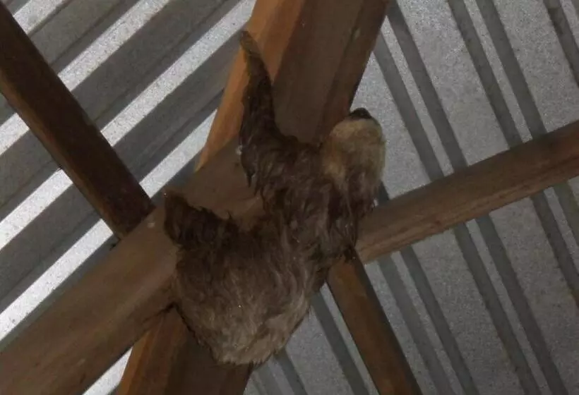 Retkeilymaja Hostal Cecilia