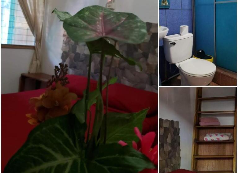 هاستل Hostal Cecilia