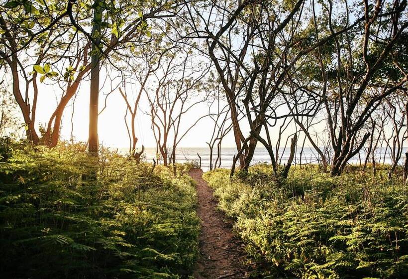 호스텔 Pipe House Playa Grande