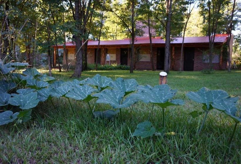 ユースホステル Santa Mate