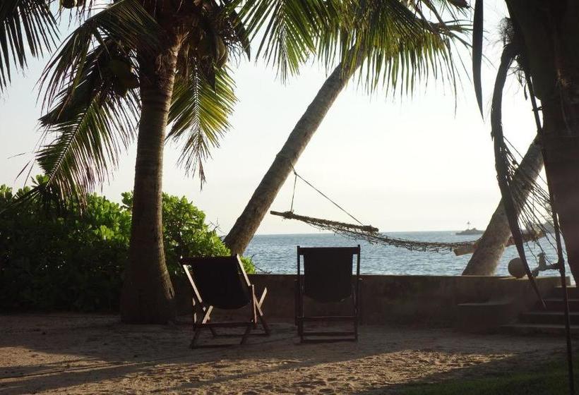 Hôtel Amuura Beach