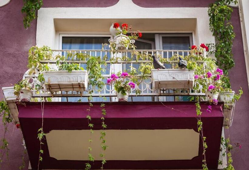 펜션 Residence Art Guest House