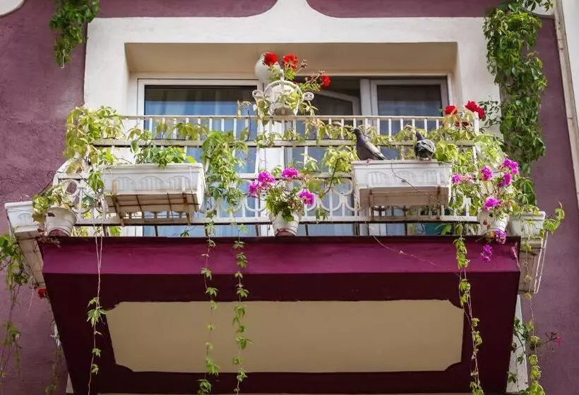 پانسیون Residence Art Guest House