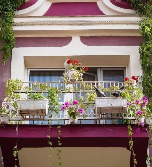 پانسیون Residence Art Guest House