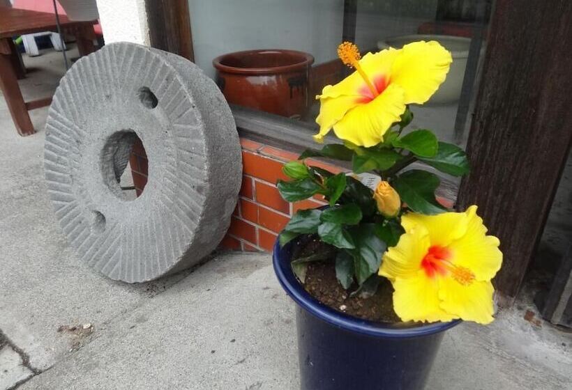 פנסיון Ringoya