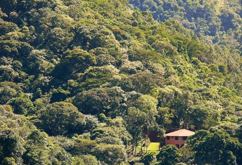 הוסטל Sitio Flor Das Aguas