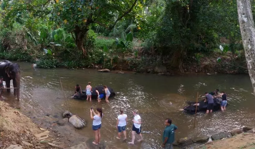 Retkeilymaja Suwani Pinnawala Homestay