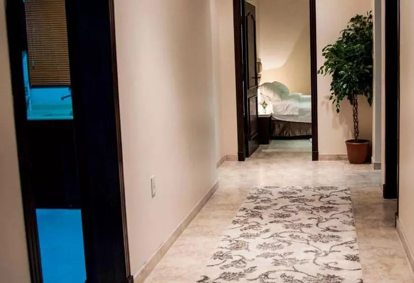 City Suites