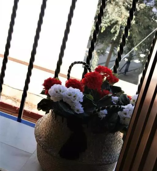 Hotelli Nüa Cicerone