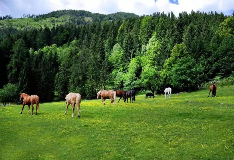 هتل Raderhof
