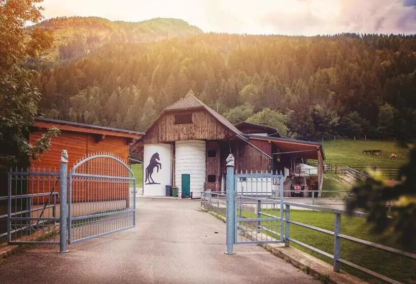 هتل Raderhof