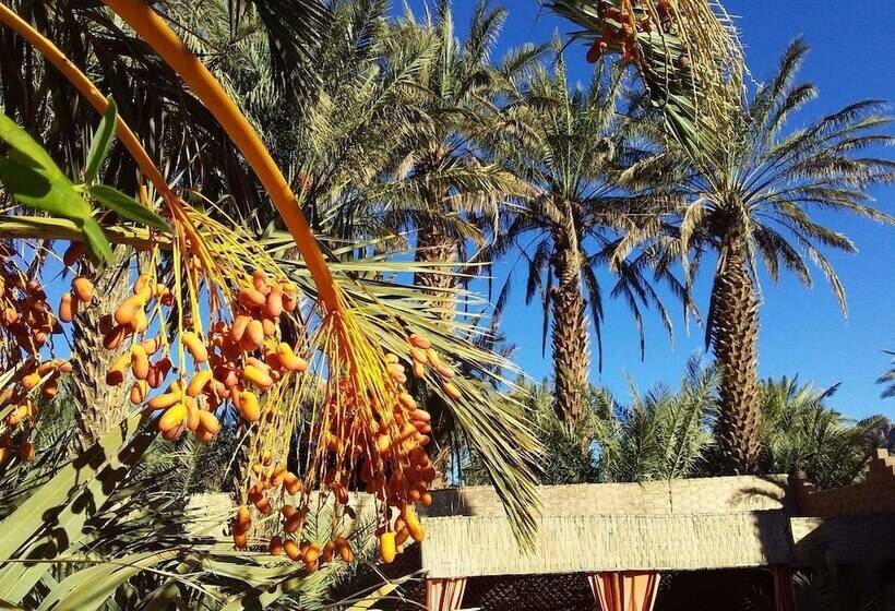 پانسیون Dar Pienatcha