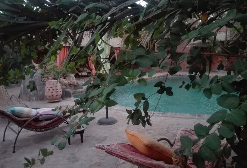 پانسیون Dar Pienatcha