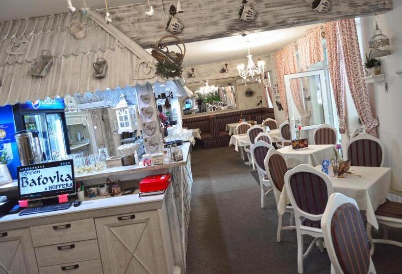 Пансион Penzion Batovka U Hoffera