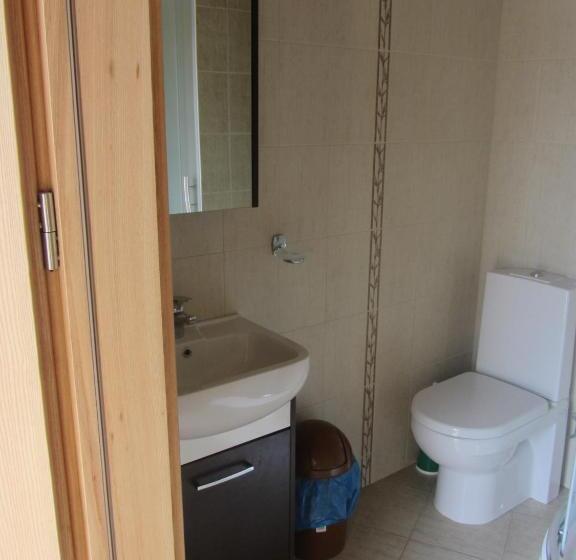 پانسیون Svečių Namai ,, Opes Vyngis