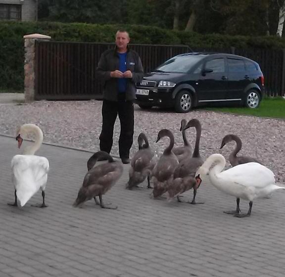 پانسیون Svečių Namai ,, Opes Vyngis