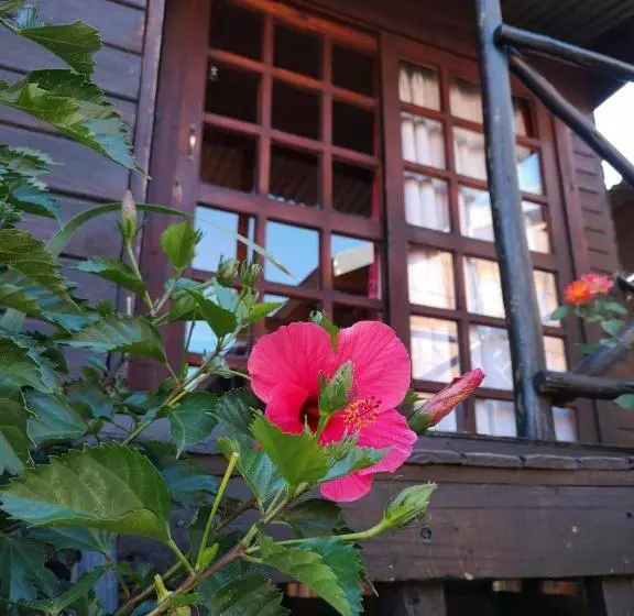 ペンション The Guesthouse