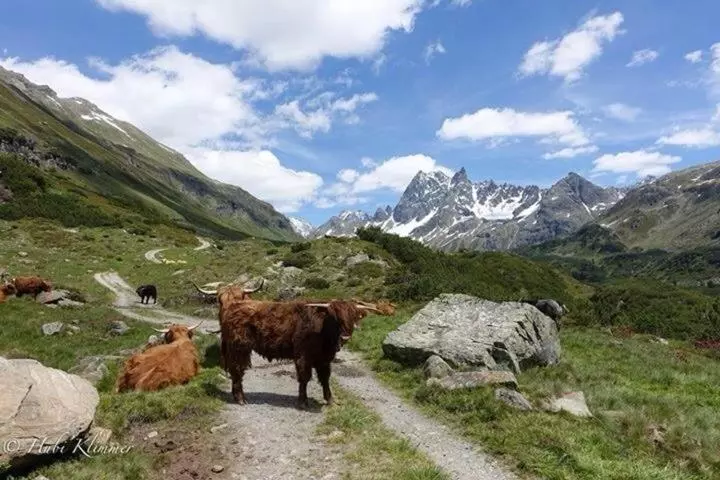 ペンション Alexandra Alber Villa Schlosskopf