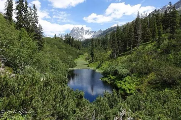 ペンション Alexandra Alber Villa Schlosskopf