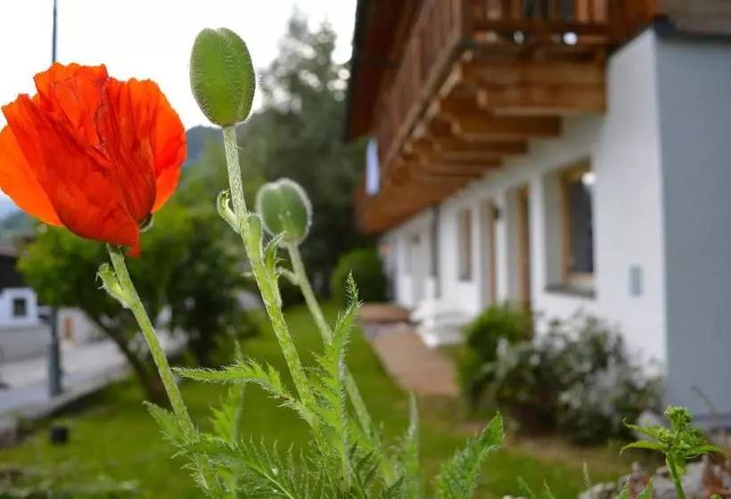 ペンション Alexandra Alber Villa Schlosskopf