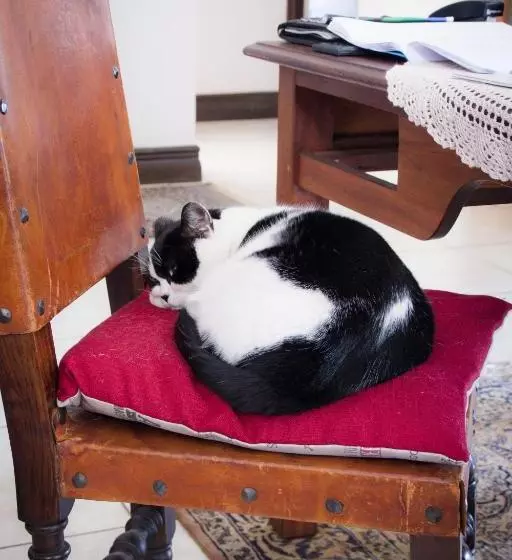 Majatalo De Zoete Rust Guesthouse