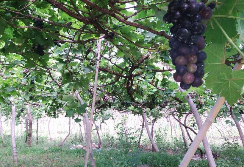 بنسيون Gunung Mas Pemuteran