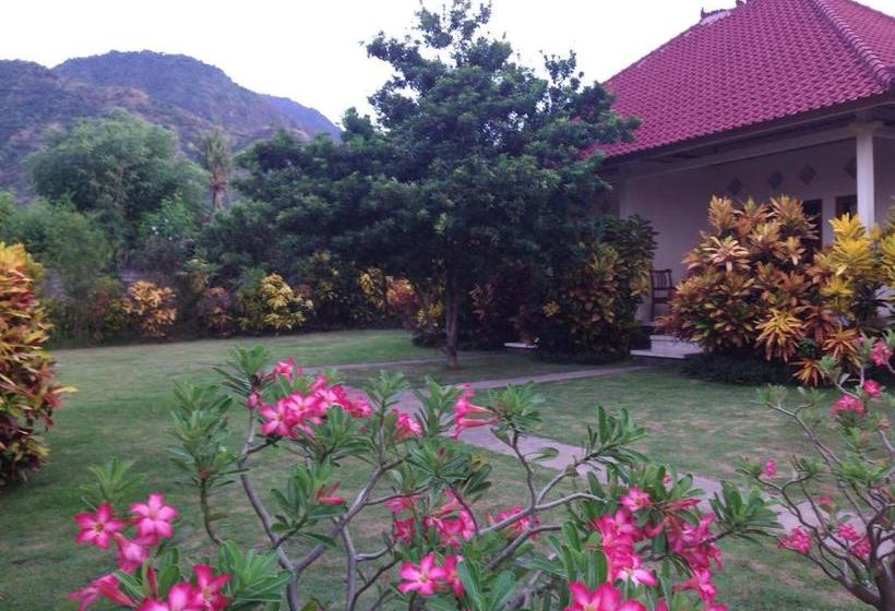 بنسيون Gunung Mas Pemuteran