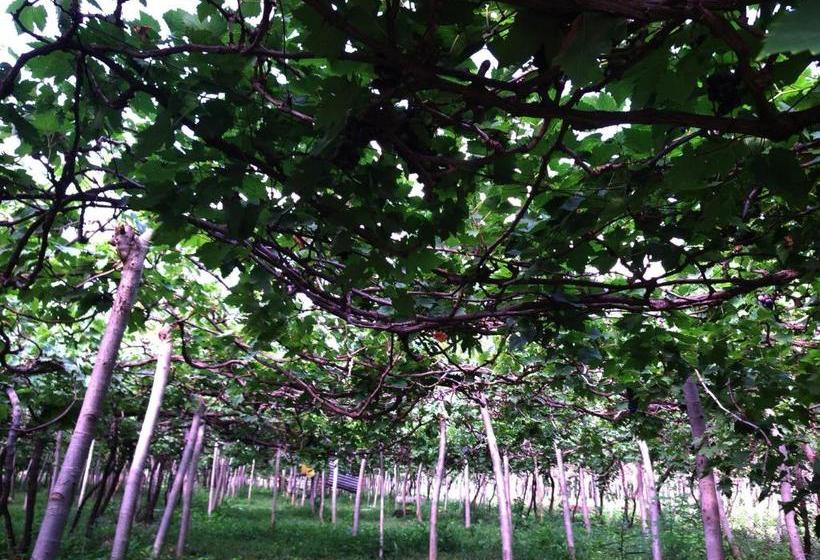 بنسيون Gunung Mas Pemuteran