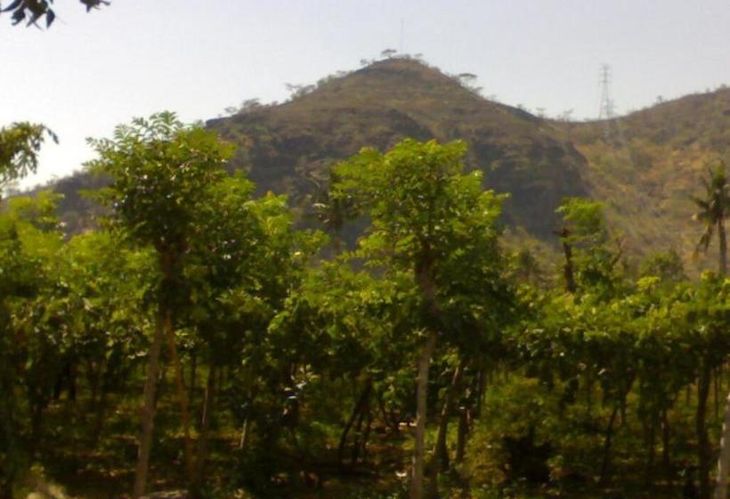 بنسيون Gunung Mas Pemuteran