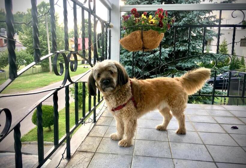 پانسیون Papli 2 Accommodation