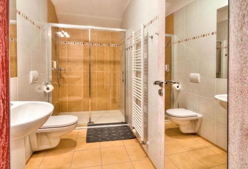 膳宿费 Statek Samsara