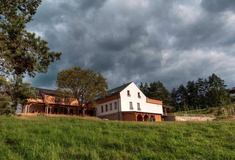 膳宿费 Statek Samsara