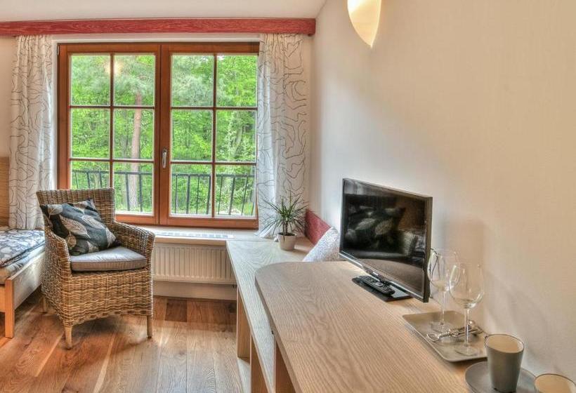 膳宿费 Statek Samsara