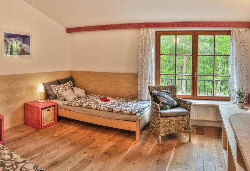 膳宿费 Statek Samsara