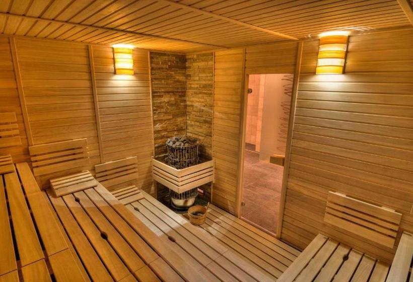 膳宿费 Statek Samsara