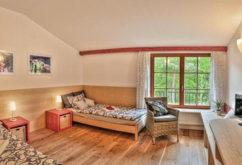 膳宿费 Statek Samsara